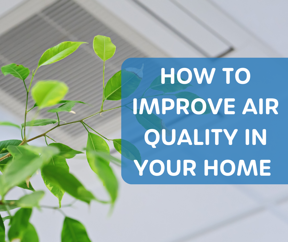 How to Improve Air Quality in Your Home (In 5 Easy Steps) Ecowell