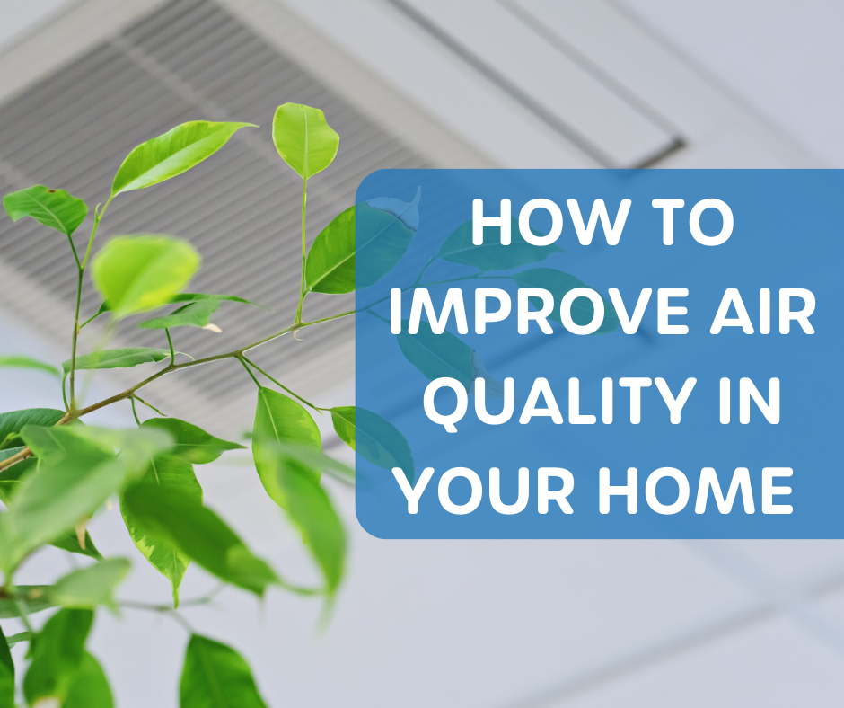 How to Improve Air Quality in Your Home (In 5 Easy Steps) – Ecowell