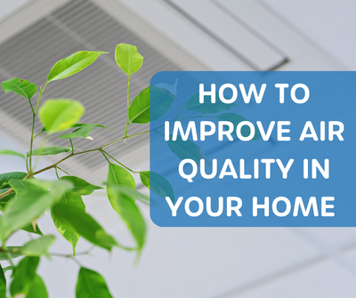 Hoe je de luchtkwaliteit in je huis kunt verbeteren (in 5 eenvoudige stappen)