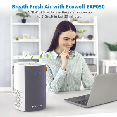 ECOWELL- 12" HEPA Air Purifier W/ LED Display